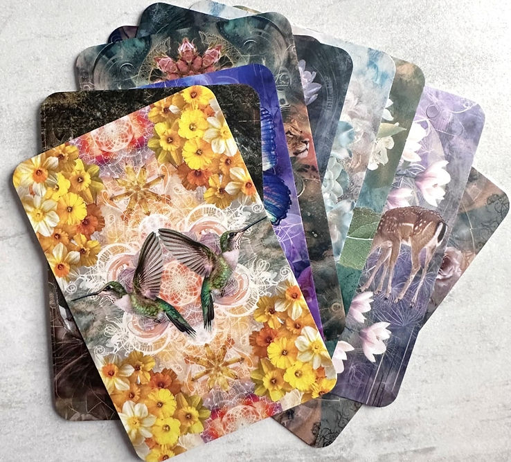 Pocket Deck_edited.jpg