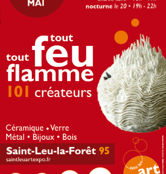 Salon Tout feu tout Flamme 2016