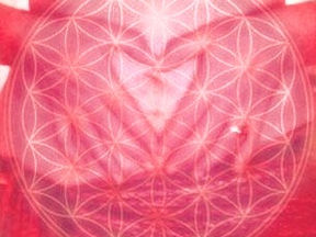 How to Harness Your Inner Fire in Inflammatory Times