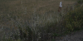 b07f0205-48ad-49bf-b925-ce83ce48e8dc_1_105_c.jpeg
