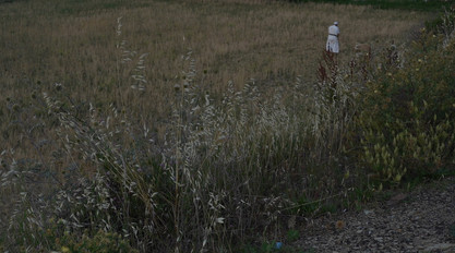 B07F0205-48AD-49BF-B925-CE83CE48E8DC_1_105_c.jpeg