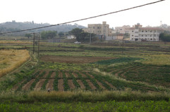 d97a94a6-003e-4fbc-a5de-85e727a1ec5f_1_105_c.jpeg