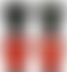 Você pode ajudar a banda a escolher a nova camiseta!