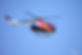 ckp_IMG_8032.jpg