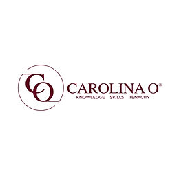 Veritas Assurance Partners