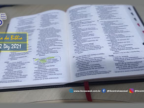 Dia da Bíblia - A Lâmpada de Deus