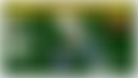 COMUNICADO IMPORTANTE