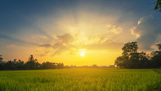 Deixe Deus lhe surpreender