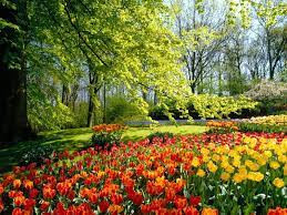 Como um Jardim