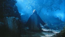 Seja feita a tua Vontade