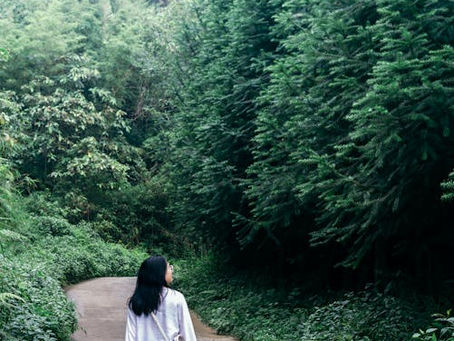 Fitness Beyond the Gym: Everyday Activities to Stay Active