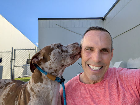 Rocky's Story: How a Fearful, Reactive Pit Bull Learned to Trust Again