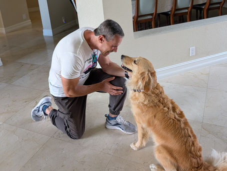 Good Dog Training Starts With the Dog, Not an Ideology