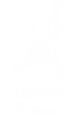 Progetto ideato a sostegno di un'associazione studentesta a sfondo europeista, mirato alla creazione di un sistema di conferenze multi-tematiche trasversali, dai contesti sociali a quelli culturali, meritevole del patrocinio del Parlamento Europeo, con lettera d'encomio da A.Tajani