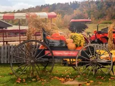 October 2025 - Community Update