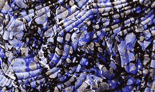 f0-02.gif