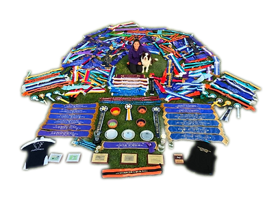 IMG_3575 - Copy (1).png