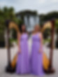 Un duo de harpes, mais nous pouvons aussi vous proposer un orchestre de harpes . Des musiciennes de talennts sur harpe classique ou électrique