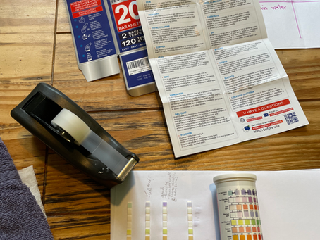 Water Testing - Calling All Citizen Scientists