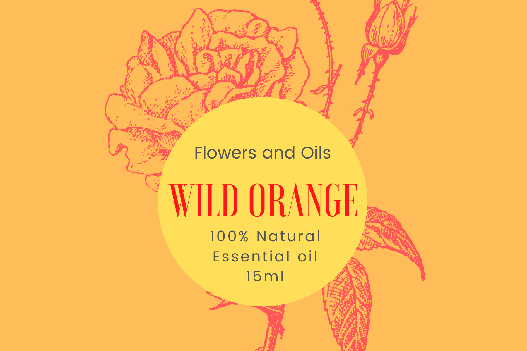 Wild Orange Essential Oil 15ml 