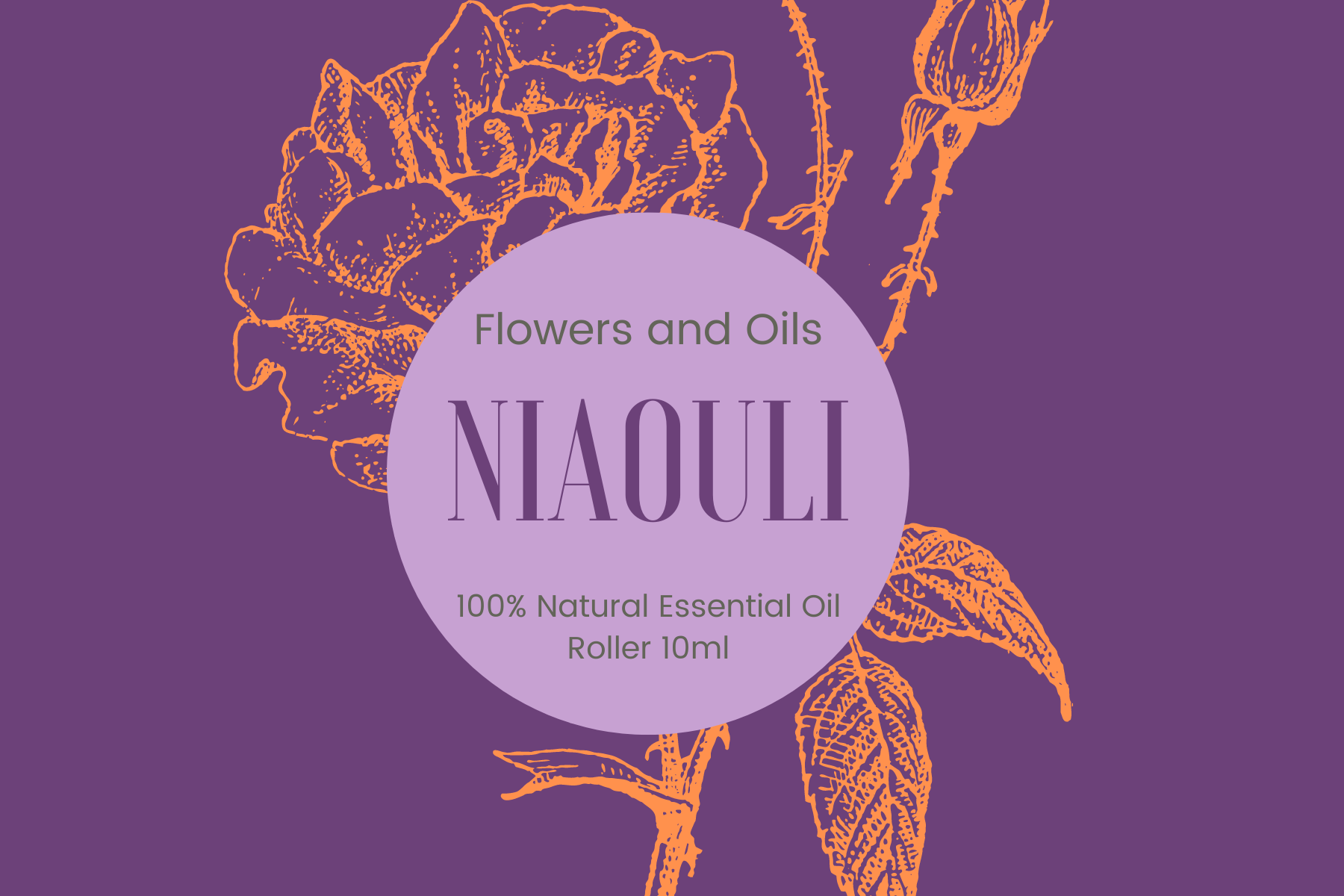 Niaouli Essential Oil 