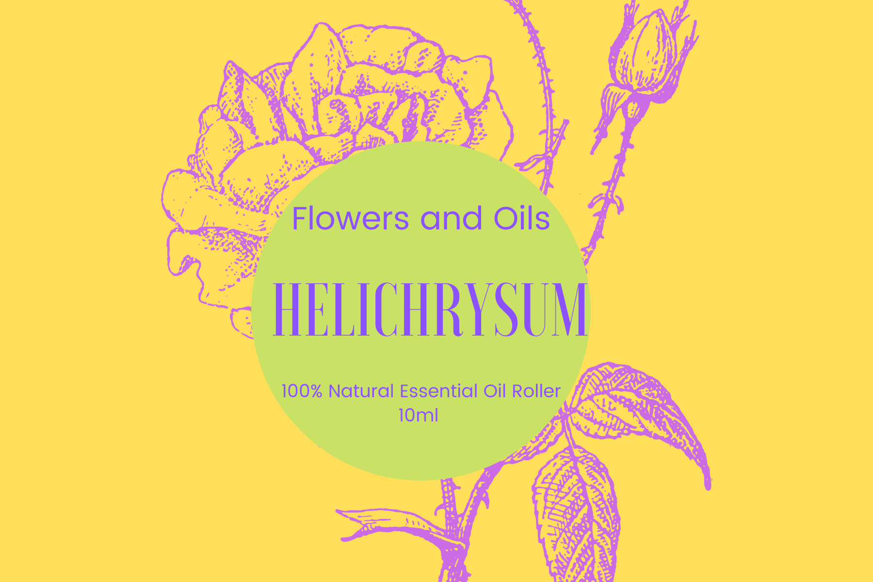 Helichrysum Essential Oil 