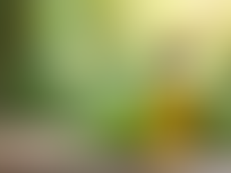 Benefits of Natural Cleaning with Oils