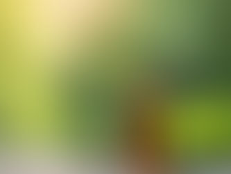 Benefits of Natural Cleaning with Oils