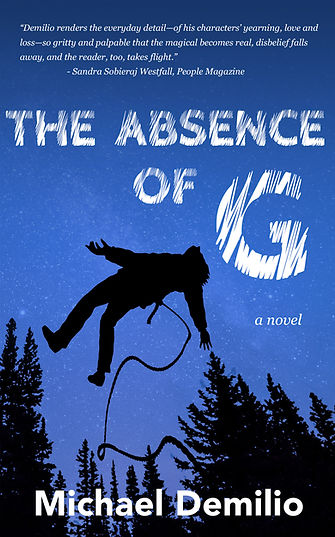 the-absence-of-g-ebook.jpg