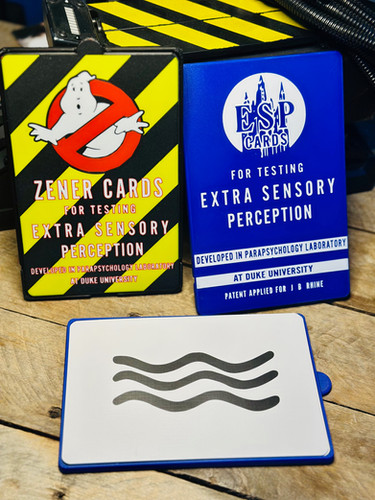 ESP Card Case for Oversized ESP Cards