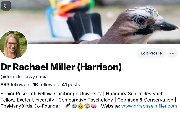 Screenshot 2025-10-16 at 20.02.52.png