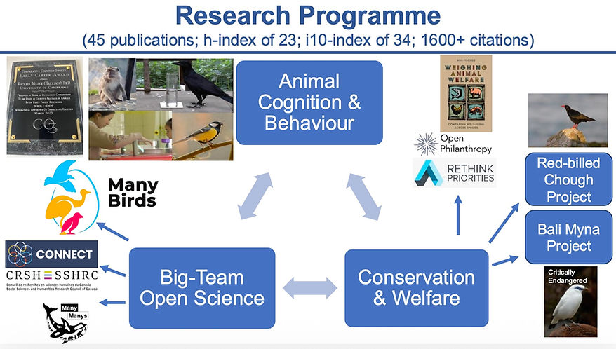 Research Programme.jpg