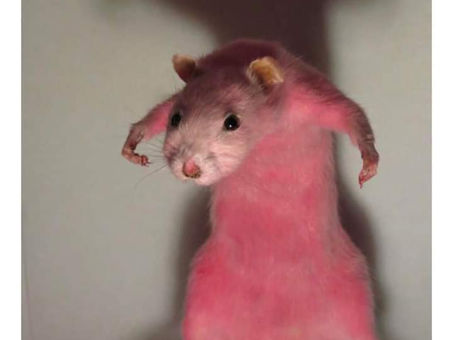 UV Protection even when cloudy