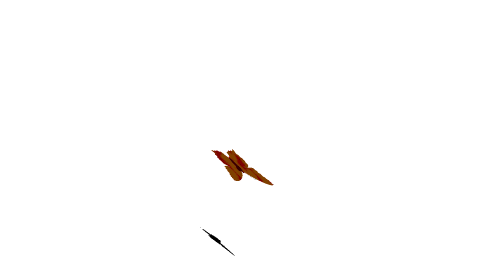 papillon-5-source_jvi11.gif