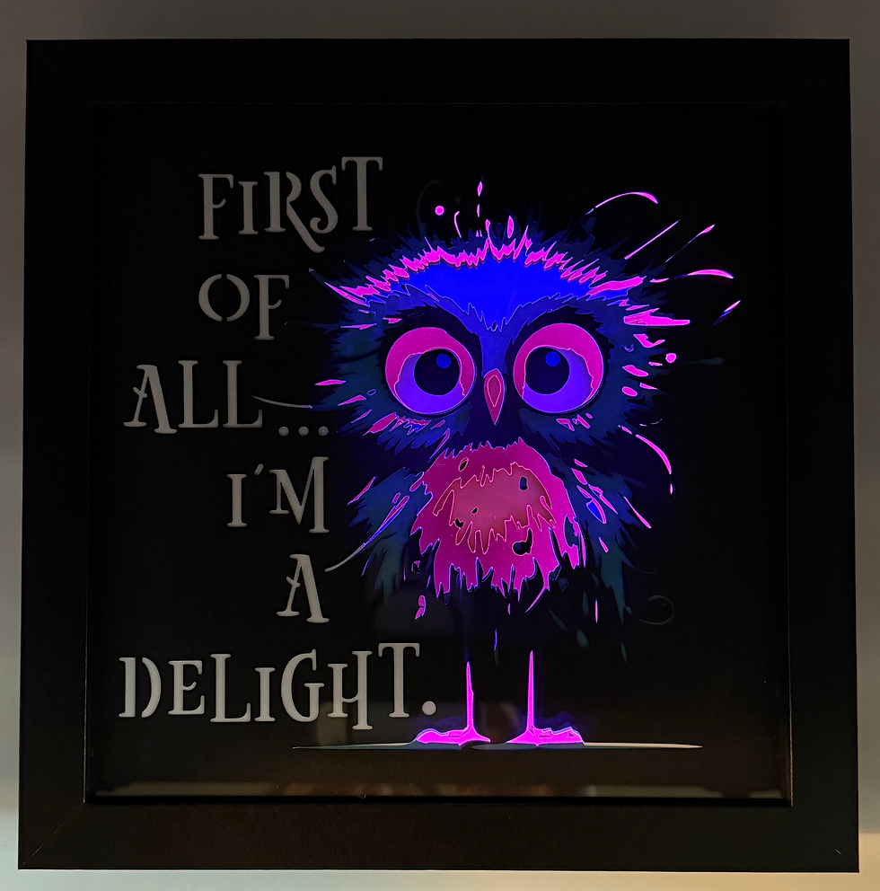 Thumbnail: Delightful Owl Multicolor Lighted Shadowbox