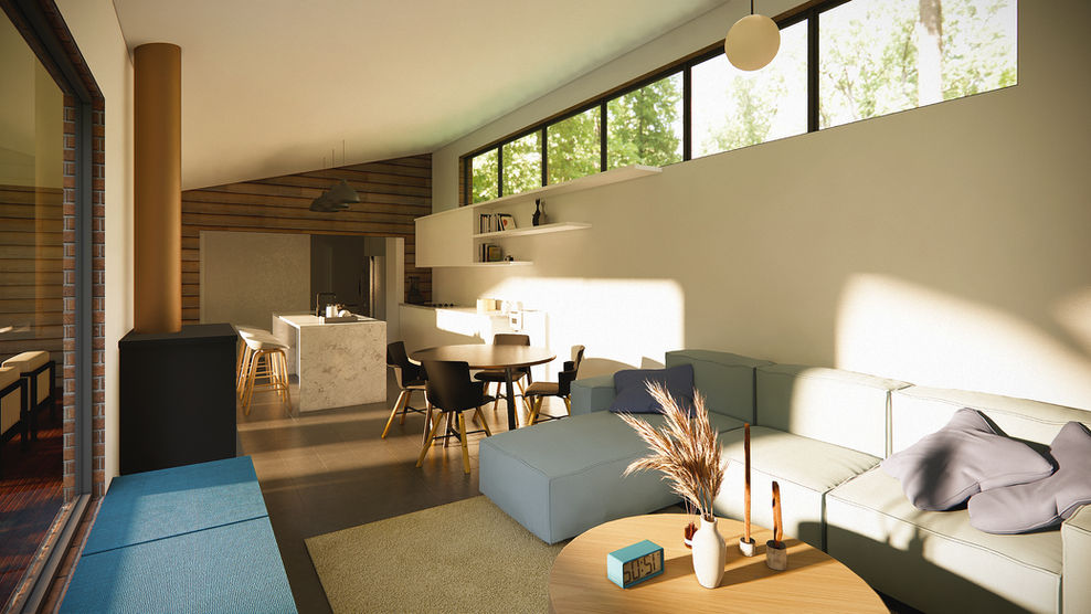 Modern granny flat open living area with natural light