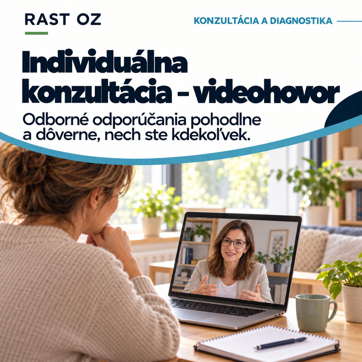Individuálna konzultácia – videohovor
