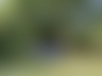 Wife and dog on an Oxford punt at swimming spot