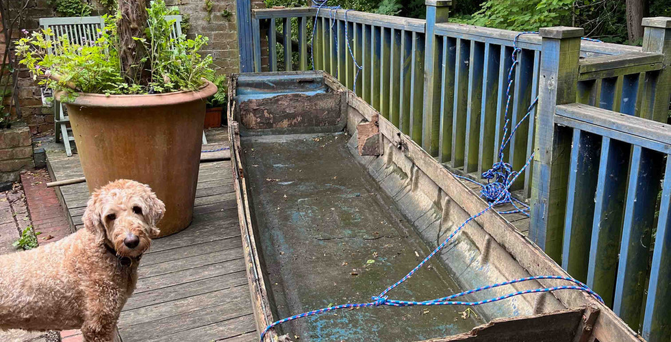 Goldendoodle looks at wreckage of an Oxford punt