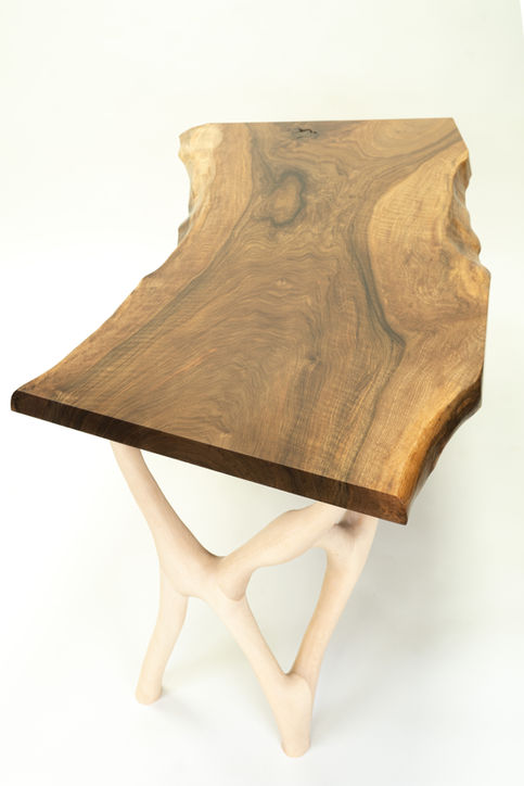 Wide English walnut slab supported by a sculptural sycamore leg