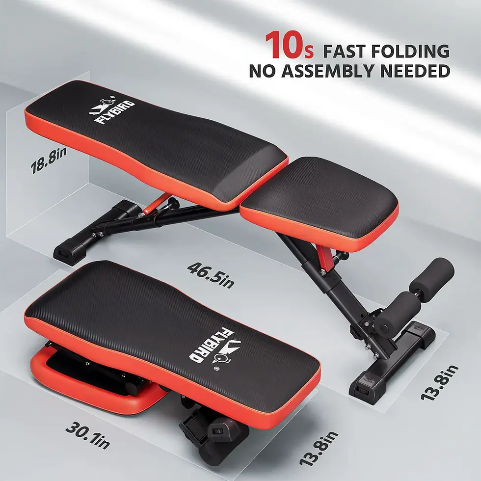 Thumbnail: FLYBIRD Foldable Adjustable Weight Bench FB299 - Flybird Fitness