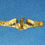 Thumbnail: Submarine Warfare Officer Badge