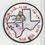 Thumbnail: Texas Air National Guard Patch