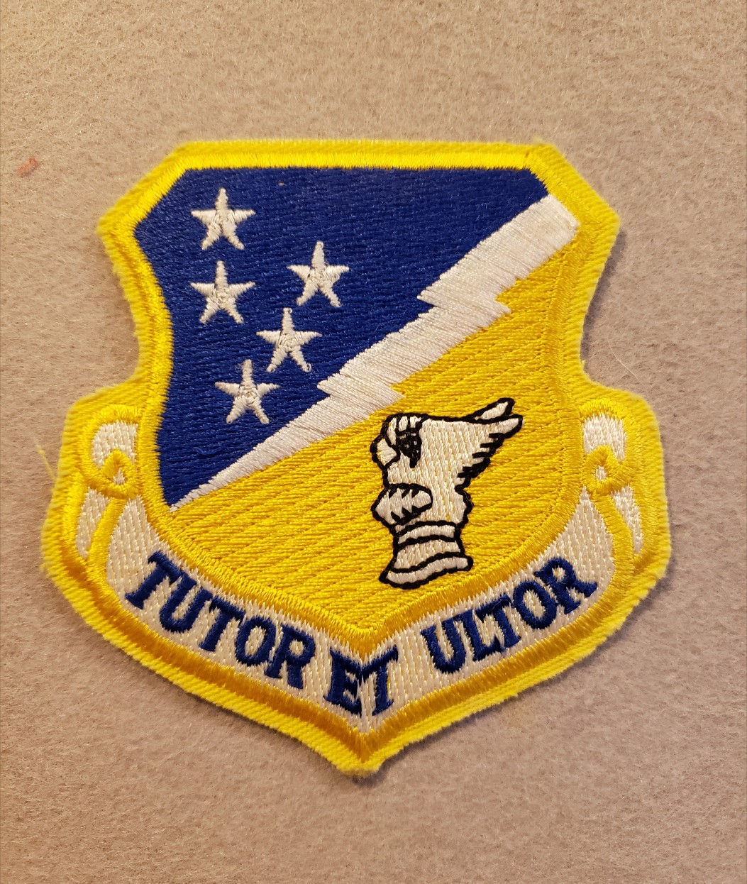 49th Tactical Fighter Wing Patch