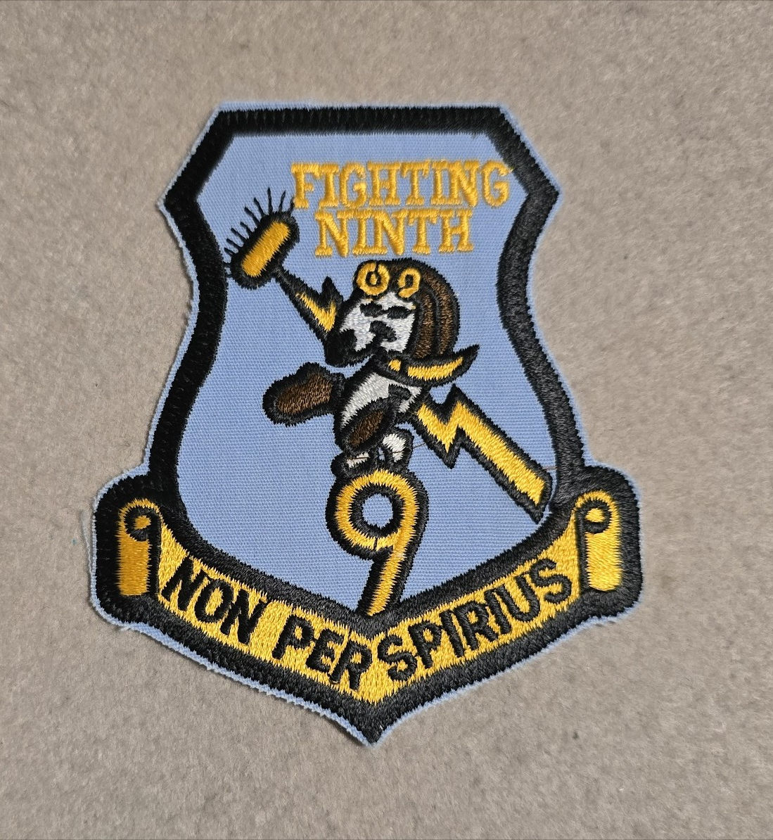 USAF 9th Officer Training Squadron Patch