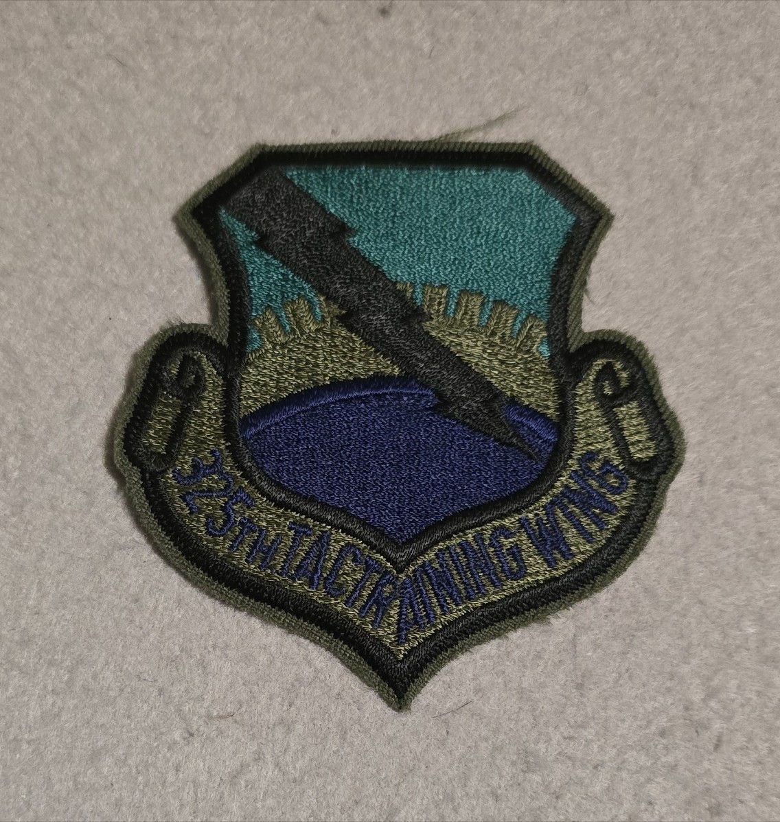 325th Tactical Training Wing Patch