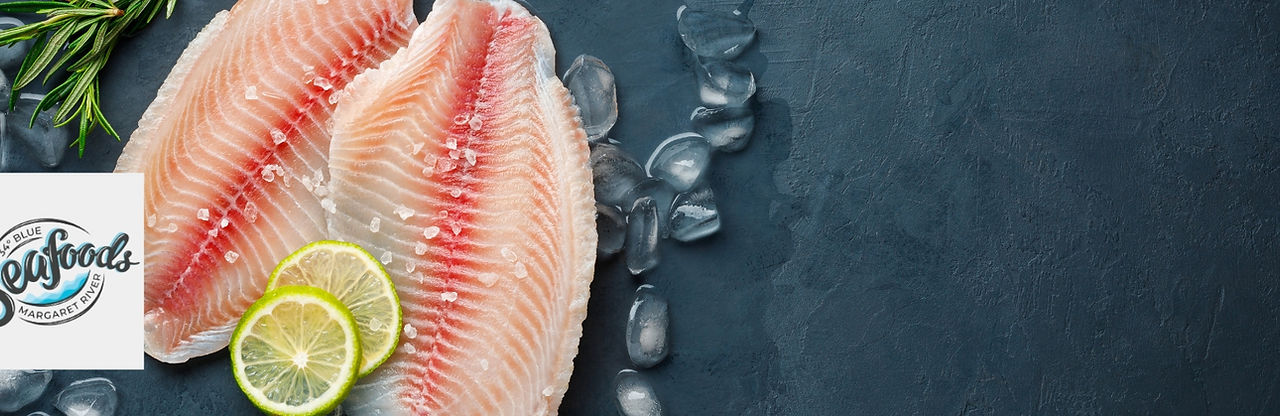 OBMWA Banner fish.jpg