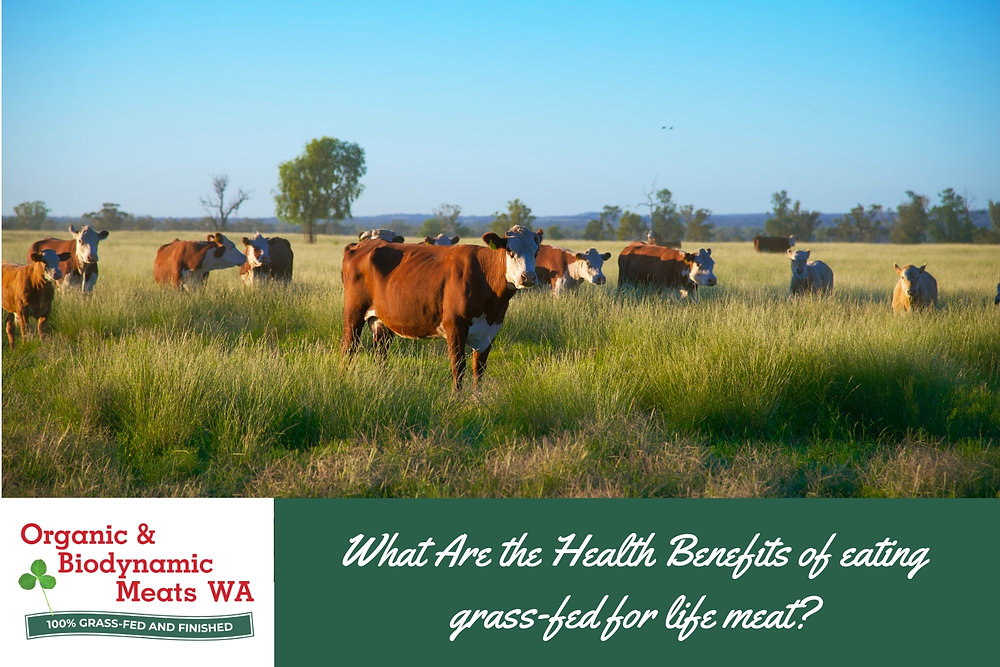 What Are the Health Benefits of eating grass-fed for life meat?