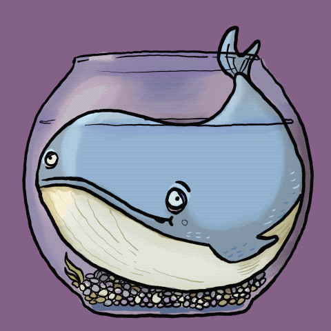 WHALEY.gif