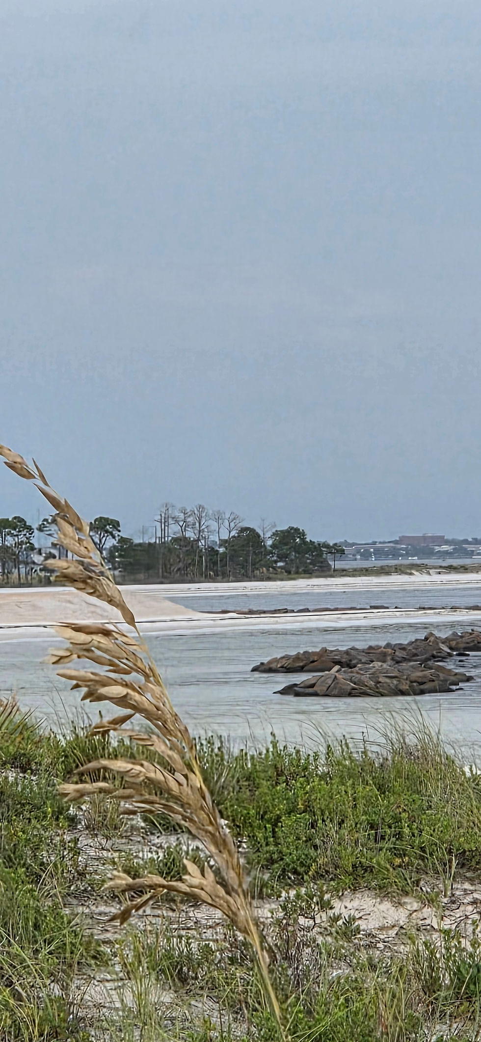 Coastal view at St. Andrews State Park with native dune grasses, calm water, rocks, and shoreline in Panama City, Florida.